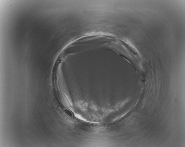 X0000070171173200606231913