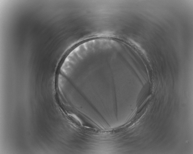 X0000070171174200606231913