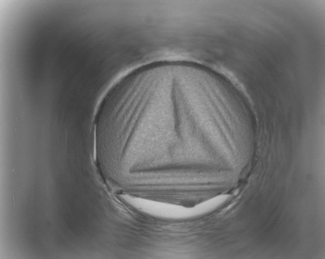 X0000070171175200606231913