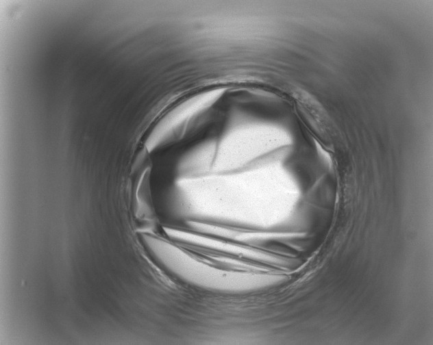 X0000070171177200606231913