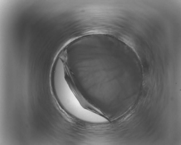 X0000070171179200606231913