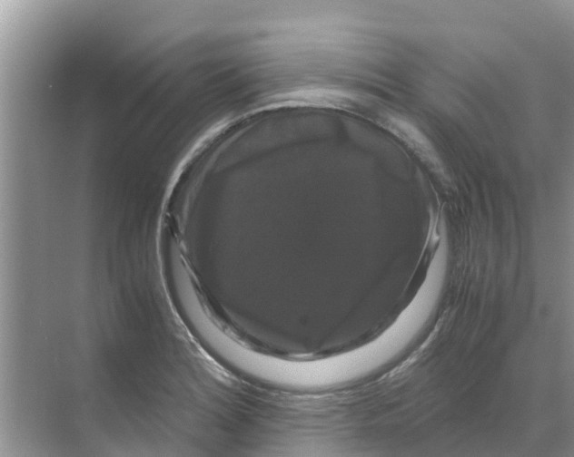 X0000070171180200606231913