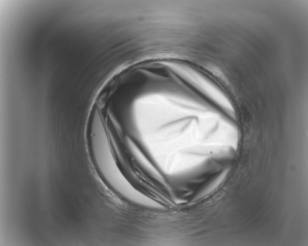 X0000070171181200606231913