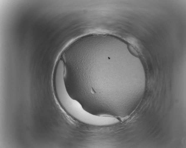 X0000070171183200606231913