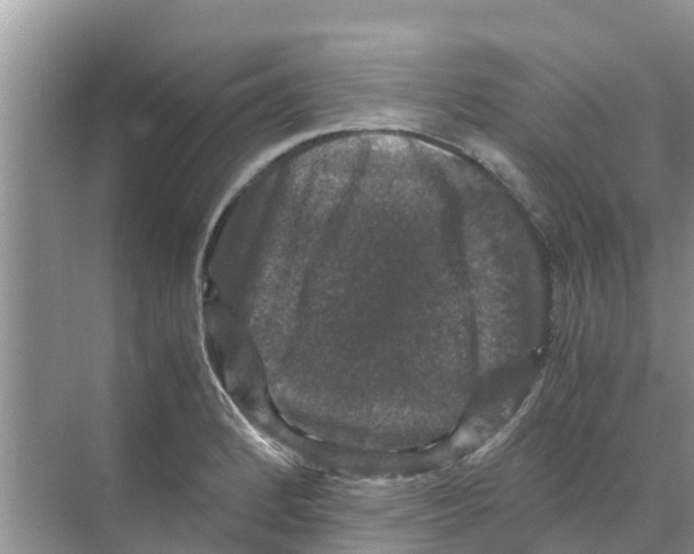 X0000070171184200606231913