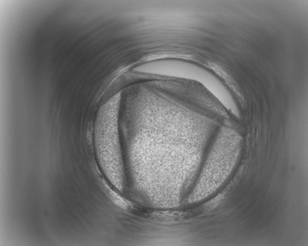 X0000070171185200606231913