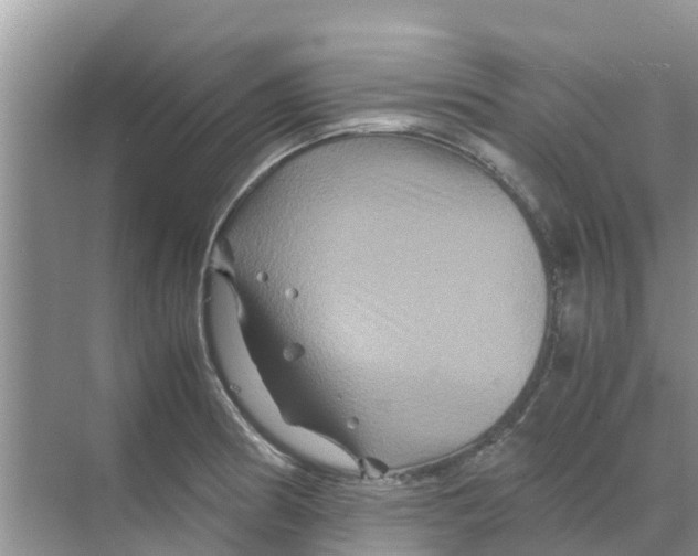 X0000070171186200606231913