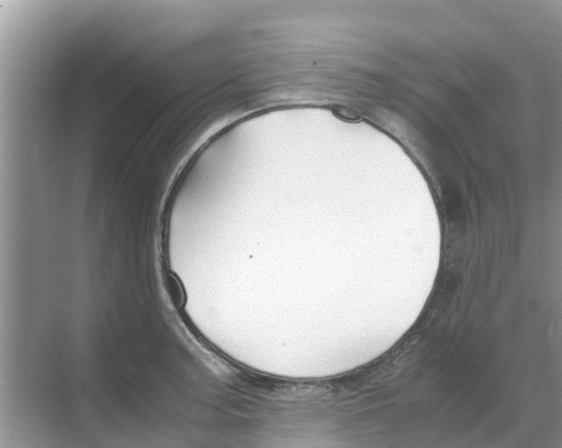 X0000070171187200606231913