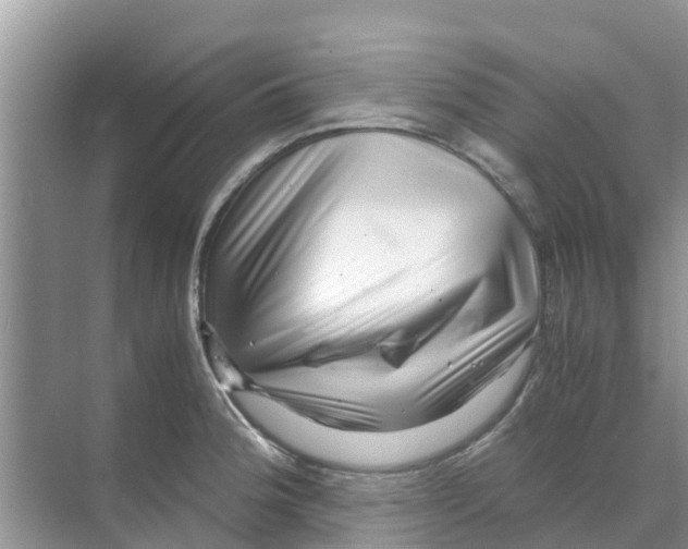 X0000070171188200606231913