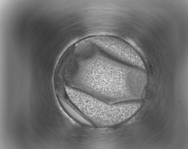 X0000070171189200606231913