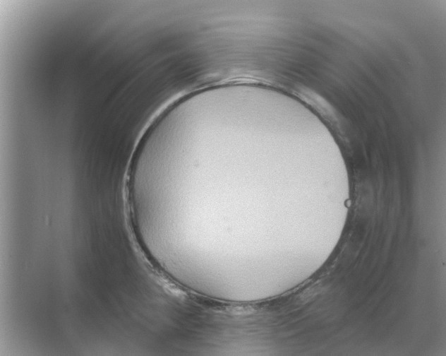 X0000070171190200606231913