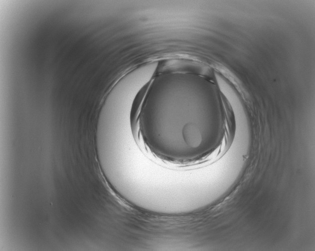 X0000070171193200606231913