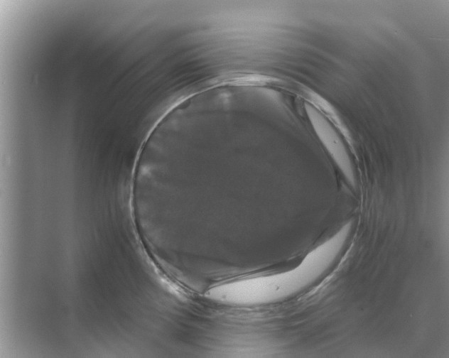 X0000070171194200606231913