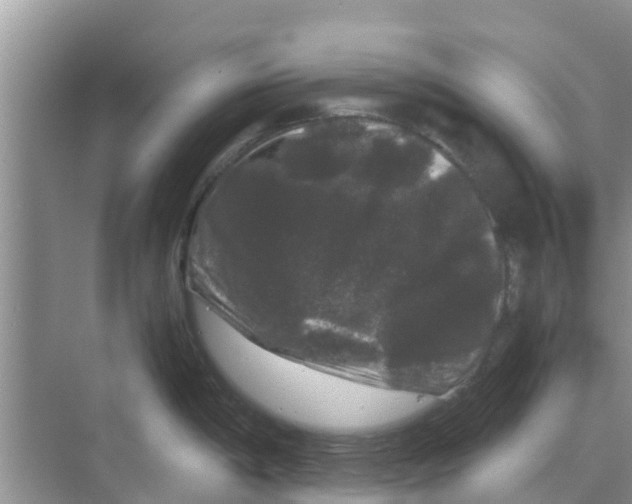 X0000070171198200606231913