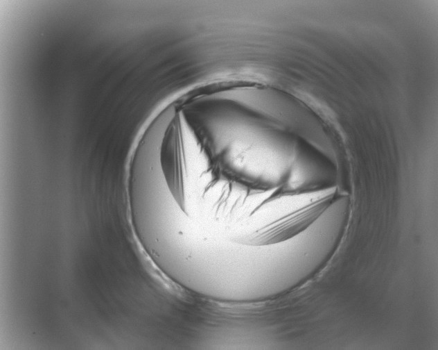 X0000070171200200606231913