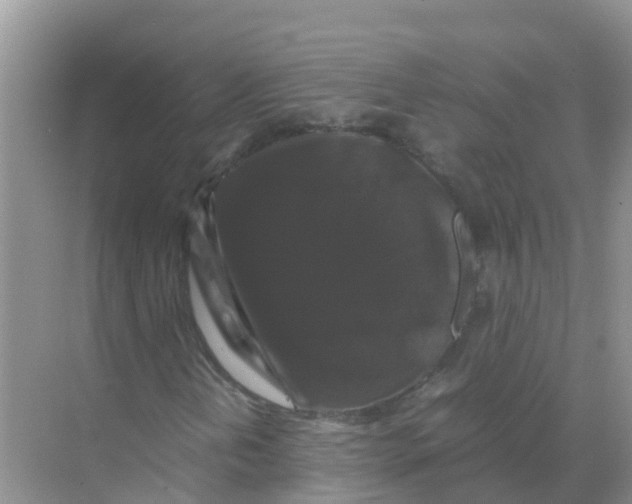 X0000070171202200606231912