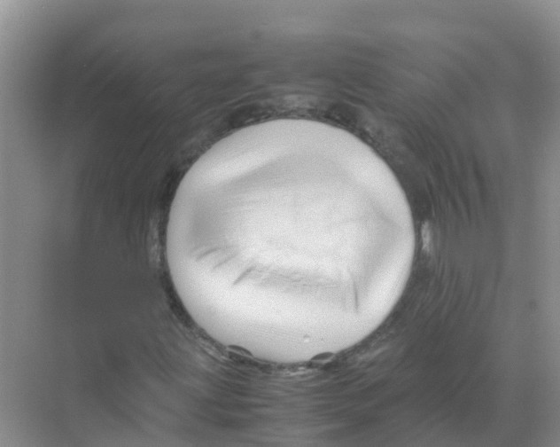 X0000070171203200606231912