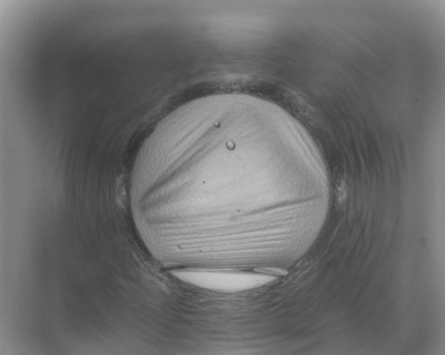 X0000070171204200606231912