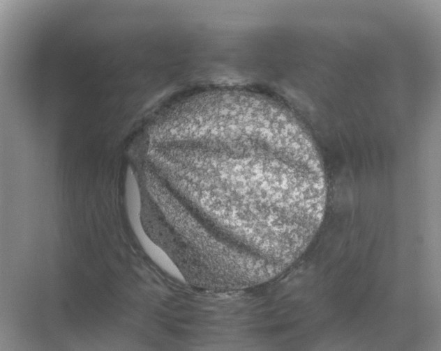 X0000070171205200606231912