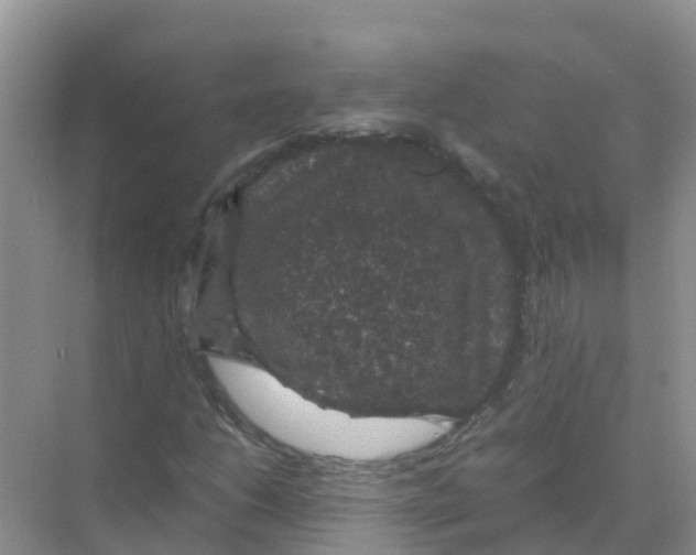 X0000070171206200606231912