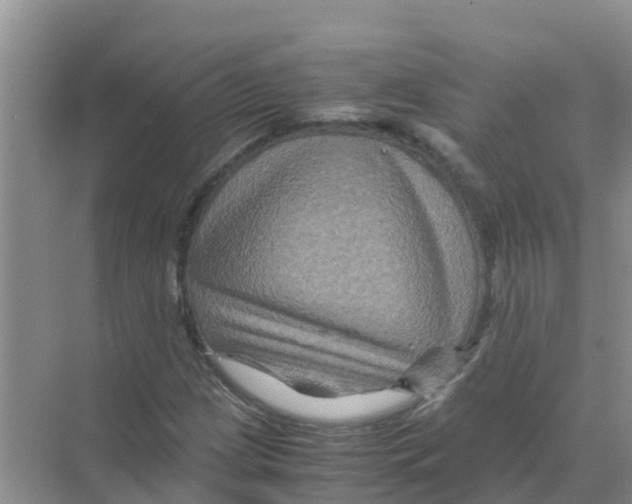 X0000070171209200606231912