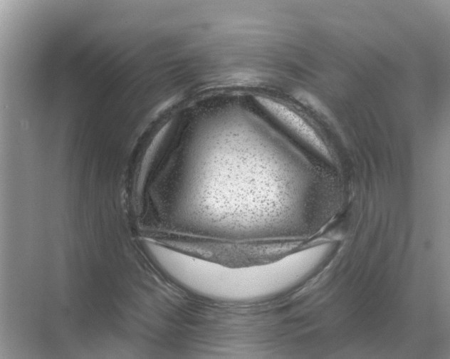 X0000070171210200606231912