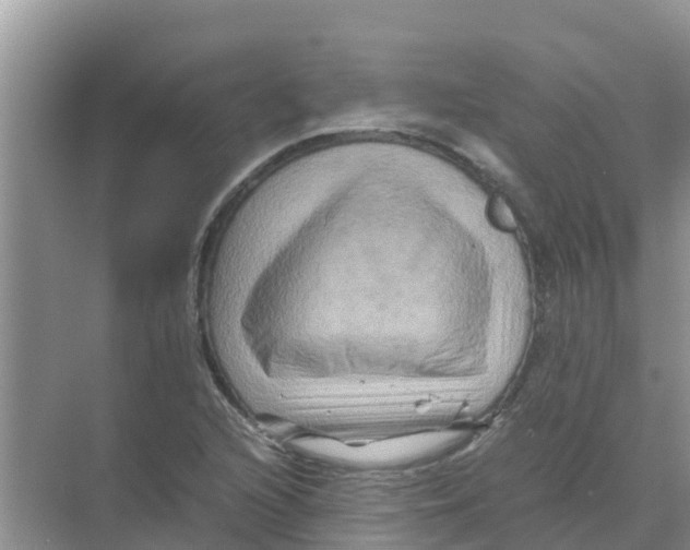 X0000070171216200606231912