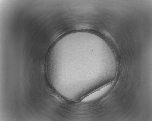 X0000070171217200606231912