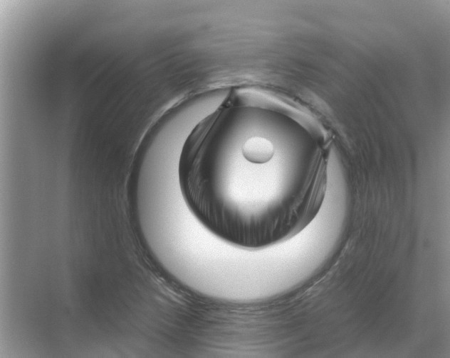 X0000070171218200606231912