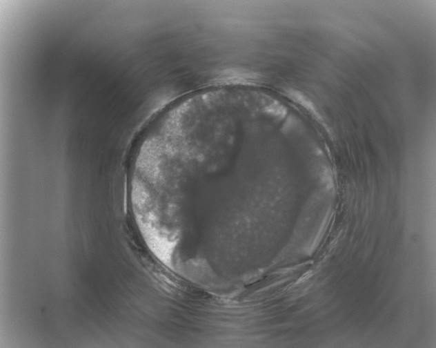 X0000070171219200606231912