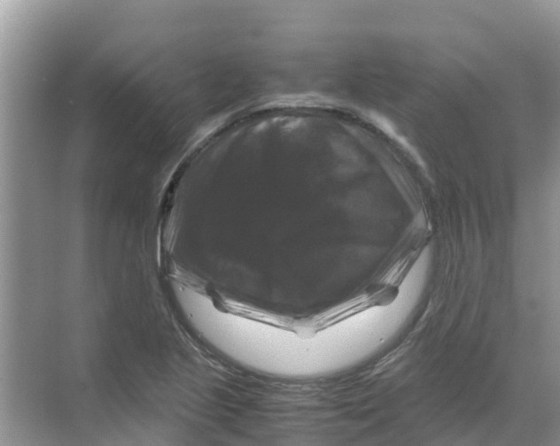 X0000070171221200606231912