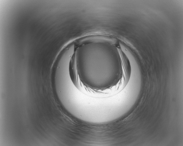 X0000070171222200606231912