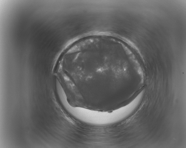 X0000070171223200606231912