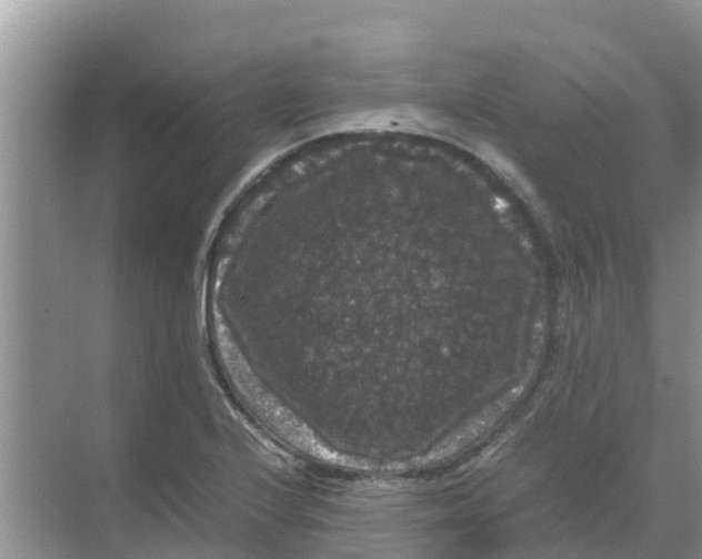 X0000070171224200606231912