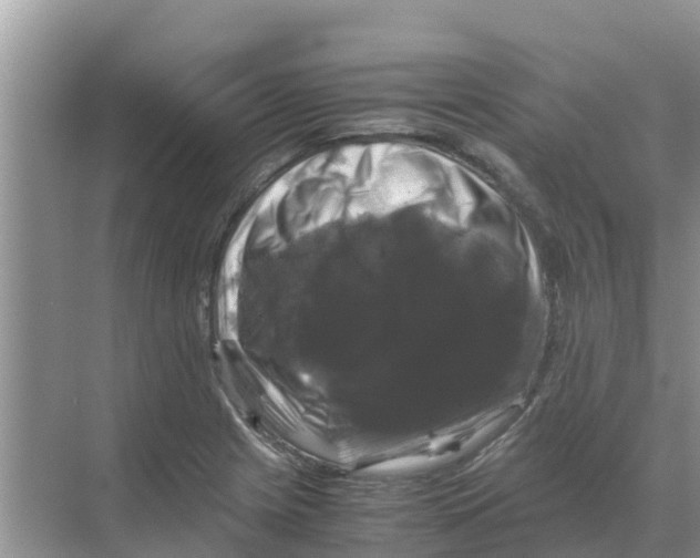 X0000070171225200606231912