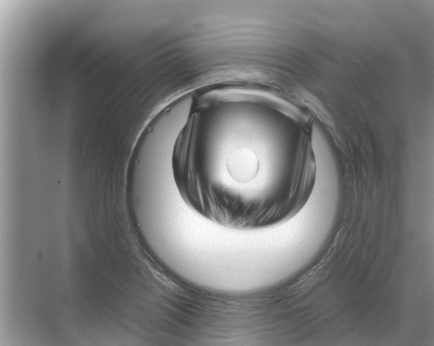 X0000070171226200606231912