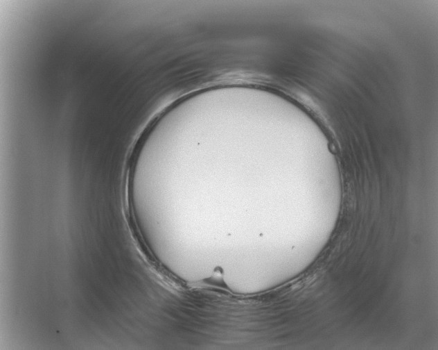 X0000070171227200606231912