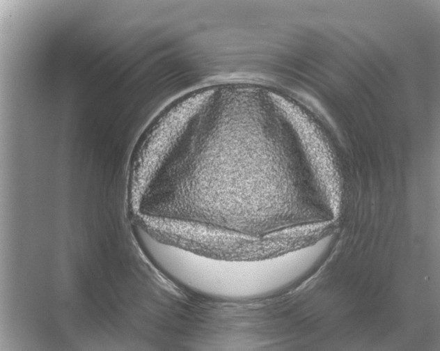 X0000070171228200606231912