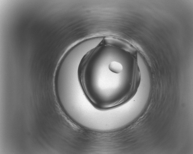 X0000070171230200606231912