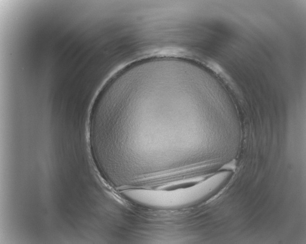 X0000070171232200606231912