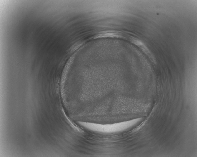 X0000070171233200606231912