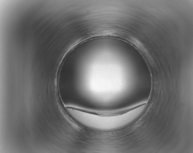 X0000070171234200606231912