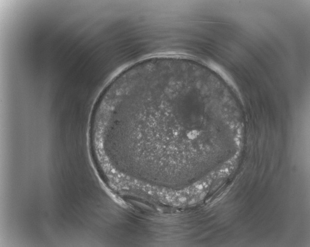 X0000070171237200606231912