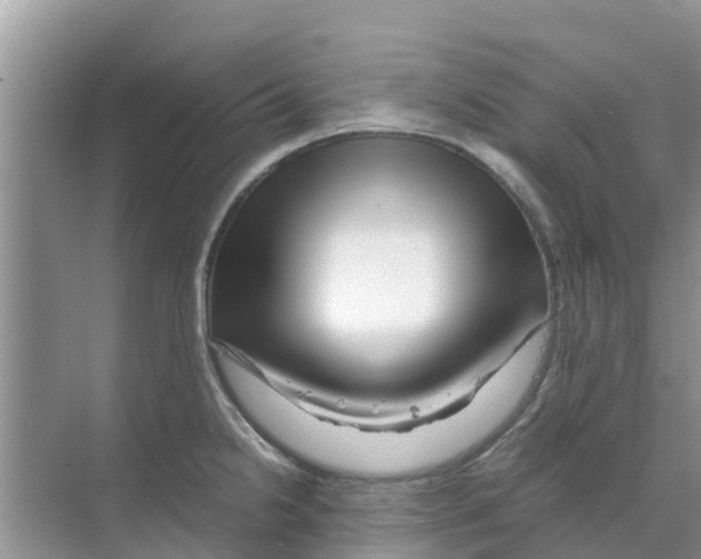 X0000070171238200606231912