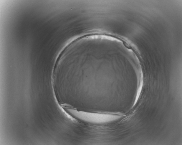 X0000070171239200606231912