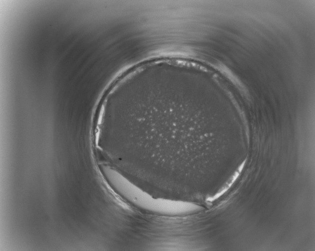 X0000070171240200606231912