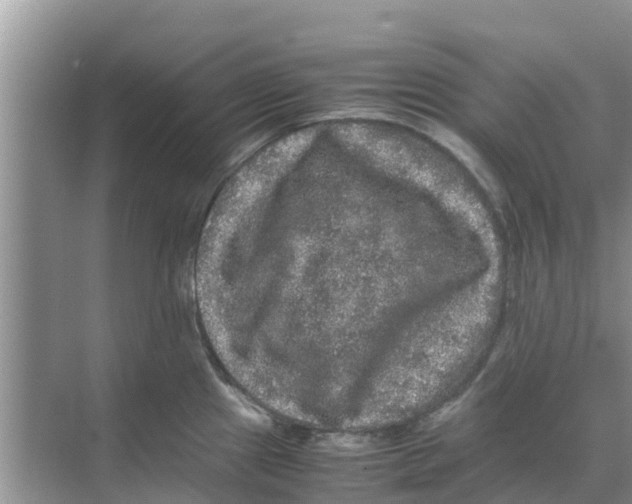 X0000070171241200606231912