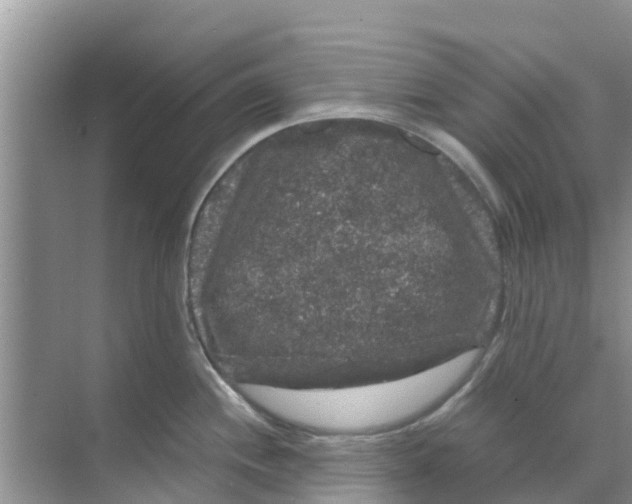 X0000070171244200606231912