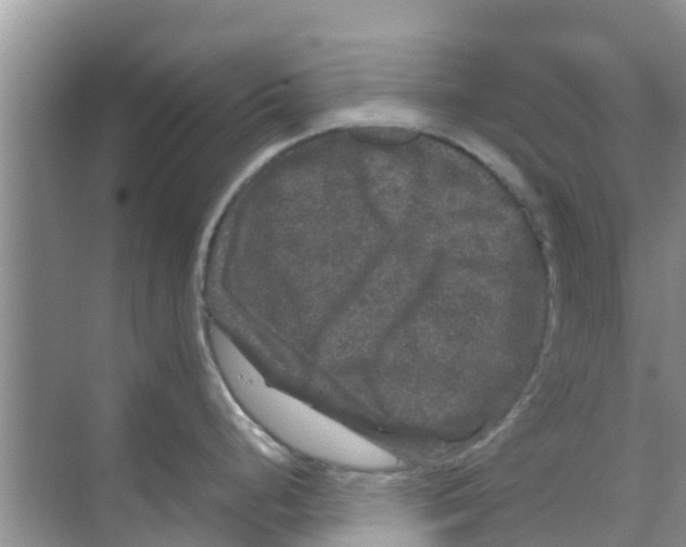 X0000070171248200606231913