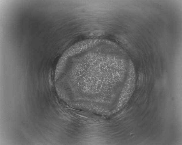 X0000070171250200606231912